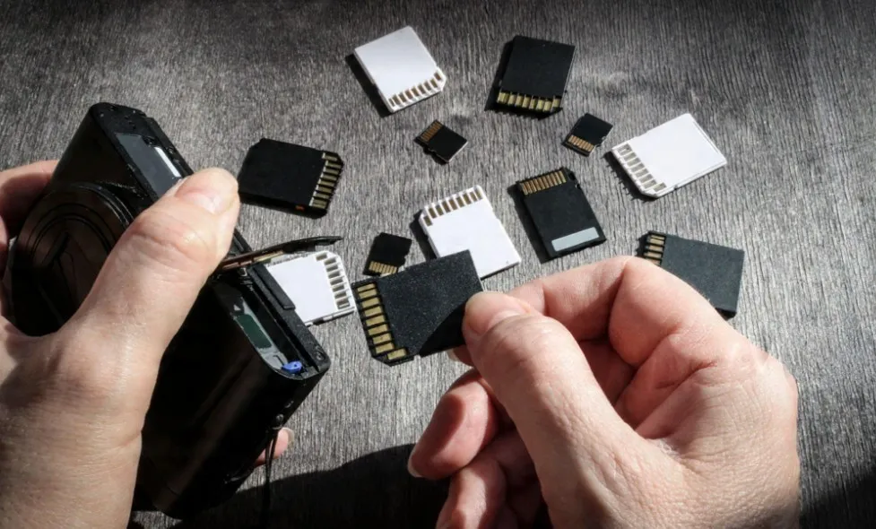 SD card recovery for photographers